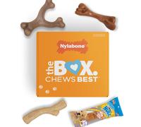 Nylabone Holiday Puppy Gift Box, Includes 3 Strong Chew Toys and 1 Natural Dog Treat, Gifts for Puppies, Small - Up to 25 lbs, 4 Pack