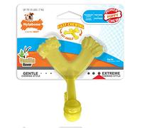 Nylabone Puppy Power Axis Bone Nylon Puppy Teething Chew Toy Vanilla Flavour, Extra Small, for Dogs up to 7kg