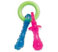 Nylabone Puppy Pacifier Teething Chew Toy - Small