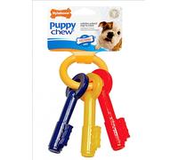 Nylabone Puppy Teething Key Bacon Flavour Chew Toy Gentle Puppies Dog Teeth