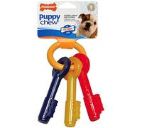 Nylabone Puppy Teething Keys - Small