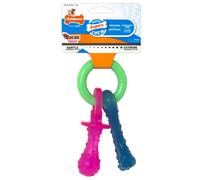 Nylabone Puppy Pacifier Teething Chew Toy - Small