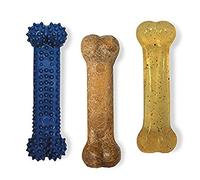 Nylabone Variety Regular Chew Bone