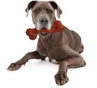 Nylabone DuraChew Monster Bone - Bison - Large