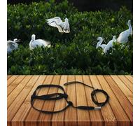 Nylon Bird Harness with Adjustable Leash for Comfortable Training and Outdoor Activities (M)