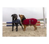 Nylon dog Blanket Diego & Louna Teddy