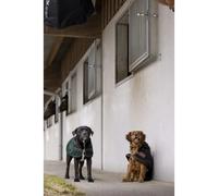 Nylon dog Blanket Diego & Louna Teddy