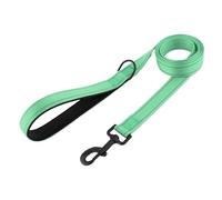 Nylon Dog Leash Pet Training Running Walking Safety Mountain Climb for Medium Large Dogs(5,L)
