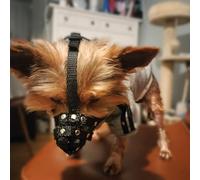 Nylon Dog Muzzle for Yorkshire Terrier, Mini Pincher, chihuahua and other similar snouts