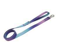 Nylon Dog Walking Accessories, 59 in Gradient Dog Leash, Metal Swivel Lock Hook, Comfortable Handle, Universal for All Breeds