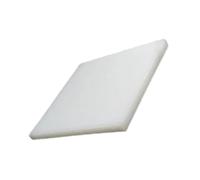 Nylon PA6 Extruded Plastic Panel