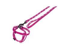 Nylon rodent harness with leash Nobby Pet Carrot