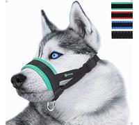 Nylon Soft Dog Muzzle for Dogs Prevent Anti Biting, Barking and Chewing, Adjustable Loop (M, Green)