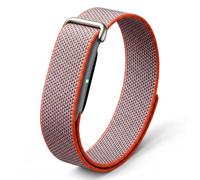 Nylon Strap Compatible with Google Fitbit Air (Stainless Steel, Rye)