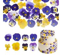 Nymora 40 Pcs 8 Kinds Natural Dried Pressed Flowers for Cake Topper Decorating - Mix Viola Tricolor for Cupcake Toppers, Cocktails, Resin Jewelry Making, DIY Art Crafts