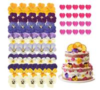 Nymora 64 Pcs Flowers for Cocktails Cake Decorating Drinks, Real Dried Pressed Flowers Cupcake Toppers, Food Grade Dry Flowers for Crafts Resin Mix with Pansy, Heart Rose Petals