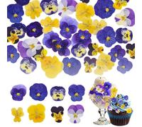 Nymora 72 Pcs 8 Kinds Dried Pressed Flowers for Cake Topper Decorating - Mix Viola Tricolor for Cupcake Toppers, Cocktails, Resin Jewelry Making, DIY Art Crafts