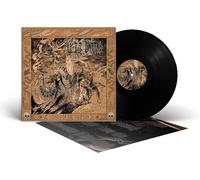 NYTT LAND - SONGS OF THE SHAMAN [VINYL]