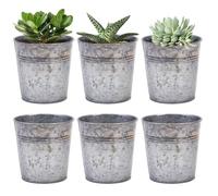 Nyutcwe Flower Buckets 6Pcs 4x3x4 Pastoral & Retro Metal Vase DIY Friendly Decorative Plant Pot for Home Office Hotel Bar Galvanized Bucket