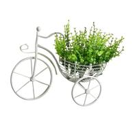 Nyutcwe Wall Baskets for Plants 16x13x5 White 3D Bike-Shaped Hanging Plant Basket DIY Friendly Iron Planter for Flower Arrangement Indoor/Outdoor Hanging Planter Basket