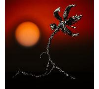 Nze Nze - Adzi Akal [VINYL]