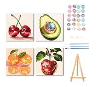NZNANCHU Fruit Paint by Numbers Kit for Adults,Disco Easy Painting Kits on Canvas with Wooden Framed, Small Color by Numbers Acrylic,Adult Paint by Number for Gifts,Home Wall Decor