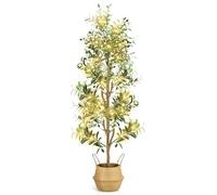 NZQXJXZ Faux Olive Tree 6FT - Indoor Tall Artificial Olive Trees with Planter & Basket and Lights, Artificial Plants with Natural Wood Trunk and Realistic Fruits for Home Living Room Office Decor