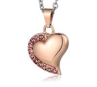 NZVCQVPU Cremation Jewellery for Ashes, Memorial Urn Necklace for Ashes Stainless Steel Heart Pendant with Zirconia