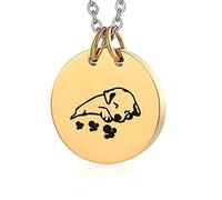NZVCQVPU Pet Ashes Necklace Dog, Personalized Cremation Necklace for Ashes Stainless Steel Round Pendant with Dog and Paw Print