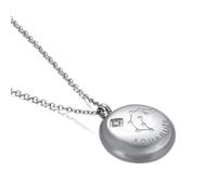 NZVCQVPU Womens Necklace,Necklaces for Womens Stainless Steel 12 Constellations with Cubic Zirconia Woman Necklace