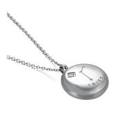NZVCQVPU Womens Necklace,Necklaces for Womens Stainless Steel 12 Constellations with Cubic Zirconia Woman Necklace
