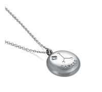NZVCQVPU Womens Necklace,Necklaces for Womens Stainless Steel 12 Constellations with Cubic Zirconia Woman Necklace