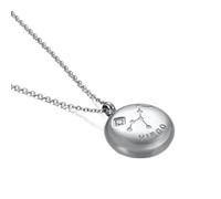 NZVCQVPU Womens Necklace,Necklaces for Womens Stainless Steel 12 Constellations with Cubic Zirconia Woman Necklace