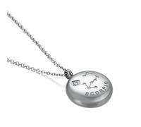 NZVCQVPU Womens Necklace,Necklaces for Womens Stainless Steel 12 Constellations with Cubic Zirconia Woman Necklace