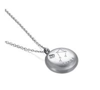 NZVCQVPU Womens Necklace,Necklaces for Womens Stainless Steel 12 Constellations with Cubic Zirconia Woman Necklace
