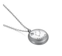 NZVCQVPU Womens Necklace,Necklaces for Womens Stainless Steel 12 Constellations with Cubic Zirconia Woman Necklace