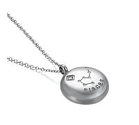 NZVCQVPU Womens Necklace,Necklaces for Womens Stainless Steel 12 Constellations with Cubic Zirconia Woman Necklace