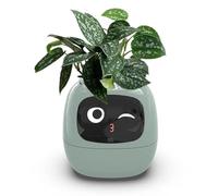 NZVZGKTNTW Artificial Intelligence Flowerpots, With 7 Smart Sensors, Time Temperature Display, Numerous Expressive Animations Based On The Environment, For Living Room, Interior Decoration(Green)
