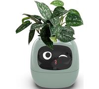 NZVZGKTNTW Smart Pet Flowerpots,Ai Chips Planter,Intelligent Flowerpots,Multiple Expressions,7 Smart Sensors, For Make Raising Plants Easy And Fun Living Room,Gifts,Plant-Free(Green)