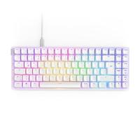 NZXT Function 2 MiniTKL | 2024 Compact Tenkeyless Optical Gaming Keyboard |Illuminated RGB | 8K Polling Rate | Linear Optical Switches | Adjustable Actuation | Hot-Swappable | White DE (QWERTZ)