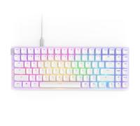 NZXT Function 2 MiniTKL | 2024 Compact Tenkeyless Optical Gaming Keyboard |Illuminated RGB | 8K Polling Rate | Linear Optical Switches | Adjustable Actuation | Hot-Swappable | White USA (QWERTY)