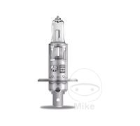 O compatible with SRAM Original line car bulb H1 12V 55W 1P JMP 1590125 ALTN 159