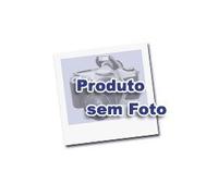 O Homem e o Muro. Memórias Políticas e Outras (Em Portuguese do Brasil)
