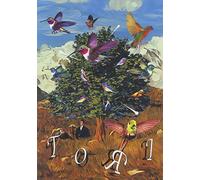 ó-ì’‰Muƒg[ƒŠv<’Êí”Å> [DVD]