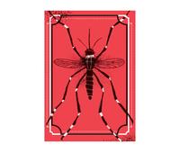 O Mosquito. A IncrIvel HistOria Do Maior Predador Da Humanidade (Em Portugues do Brasil)