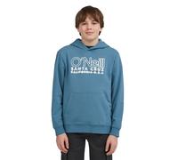 O´neill Essentials Hoodie
