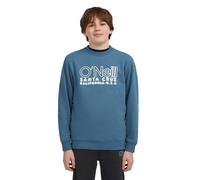 O´neill Essentials Sweatshirt