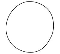 O-RING