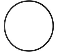 O-Ring Compatible with Fluval A20063 A20064, 304, 305, 306, 307, 404, 405, 406, 407 Canister Filter Motor Head Lid Seal Ring (1-Pack)