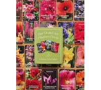 O.T. The energy of Korrektur des Schicksals The Oracle of Plant Devas, Astrocards with Floral Motifs and Affirmations, Deck of Cards by Gracia Schröder